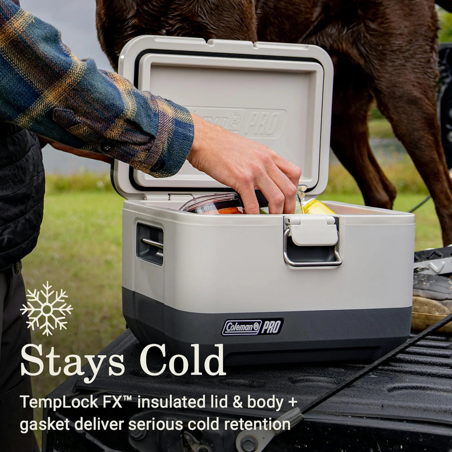 Coleman Pro 9-Quart Hard Cooler